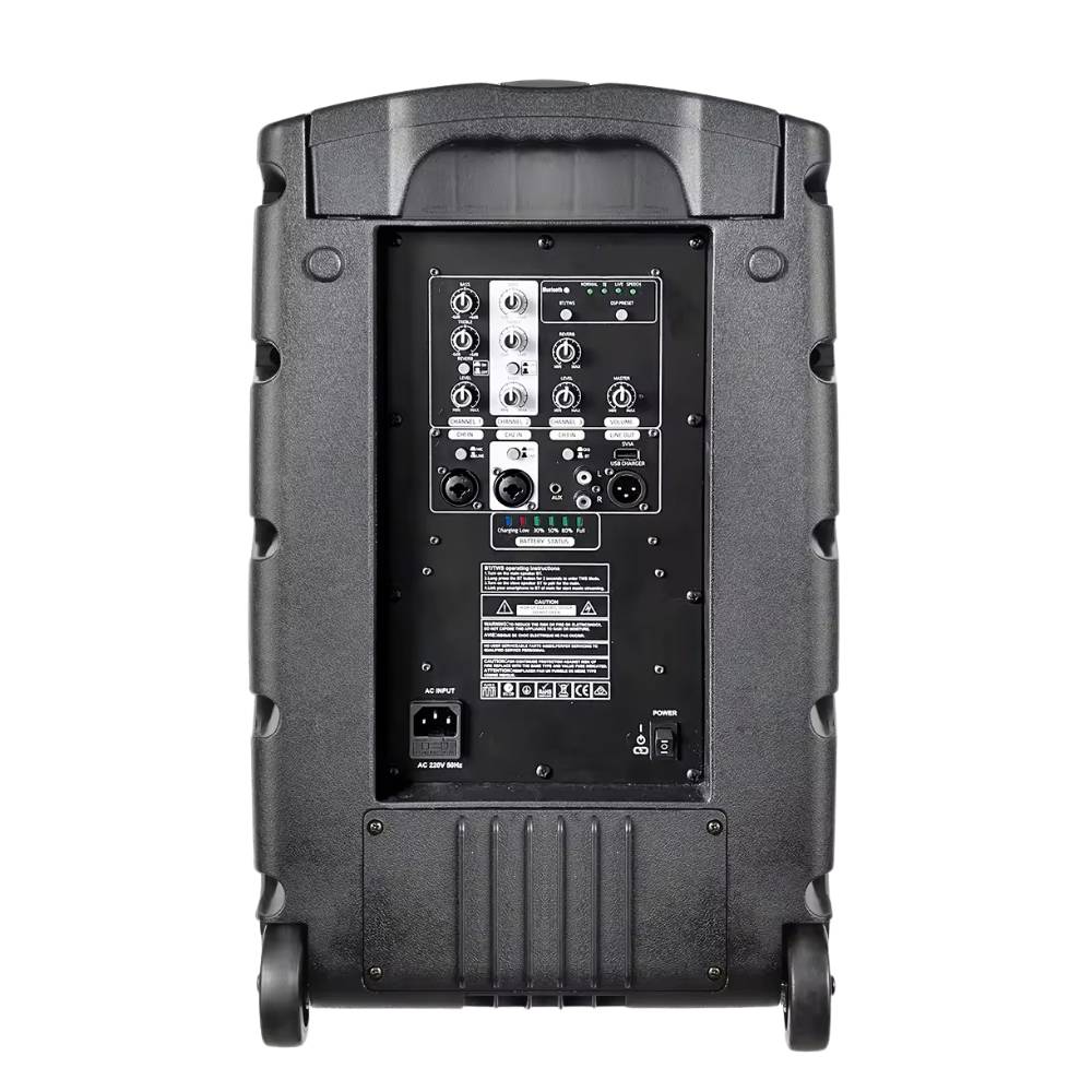 100w High quality Speakers on rent (3)