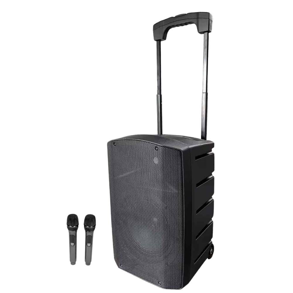 100w High quality Speakers on rent (5)